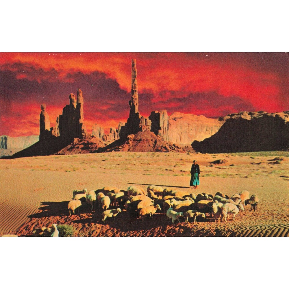Vintage Petley Postcard Sunset in Monument Valley Navajo Sheep Bill Bass PH-75-A - Picture 1 of 2